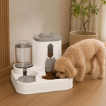 2-in-1 Gravity Pet Food & Water Dispenser