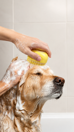 2-in-1 Pet Bath & Massage Brush