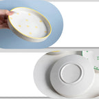 Ceramic Feeding Bowl for Cats & Dogs