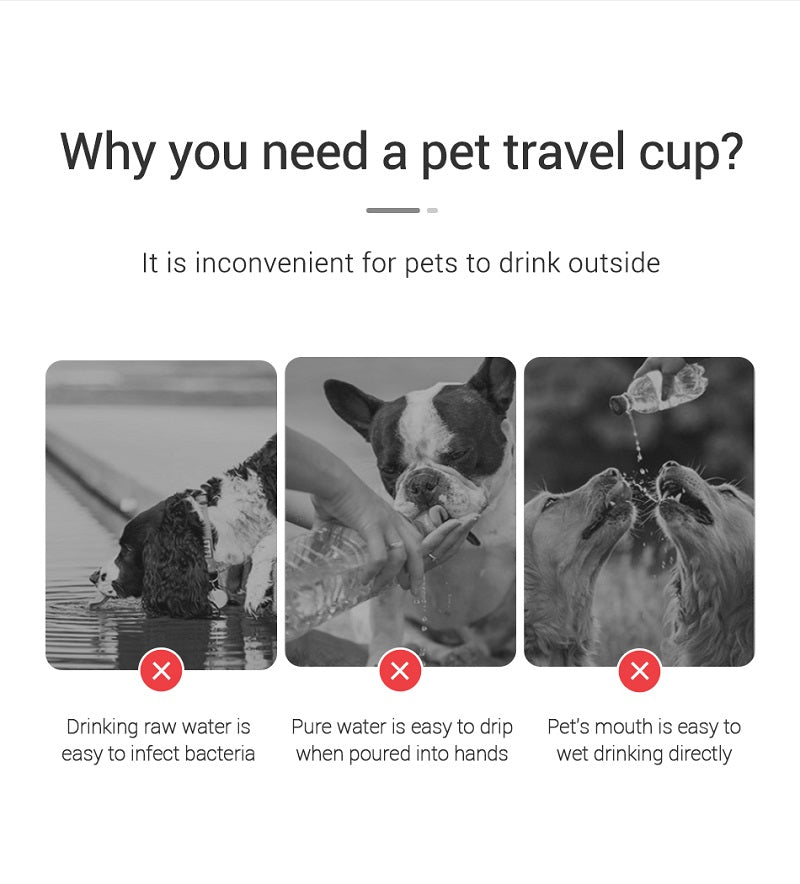Leak-Proof Portable Dog Water Bottle