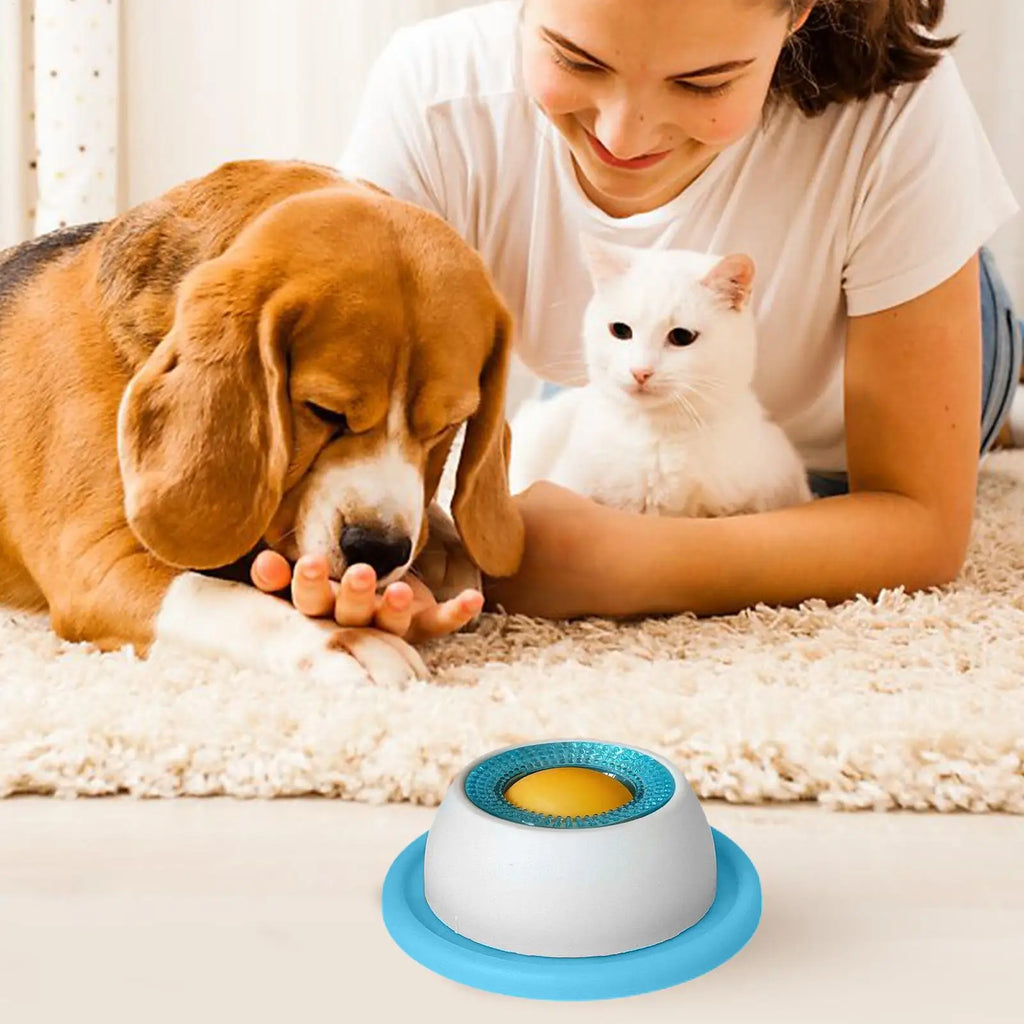 Slow-Feed Puzzle Bowl for Dogs