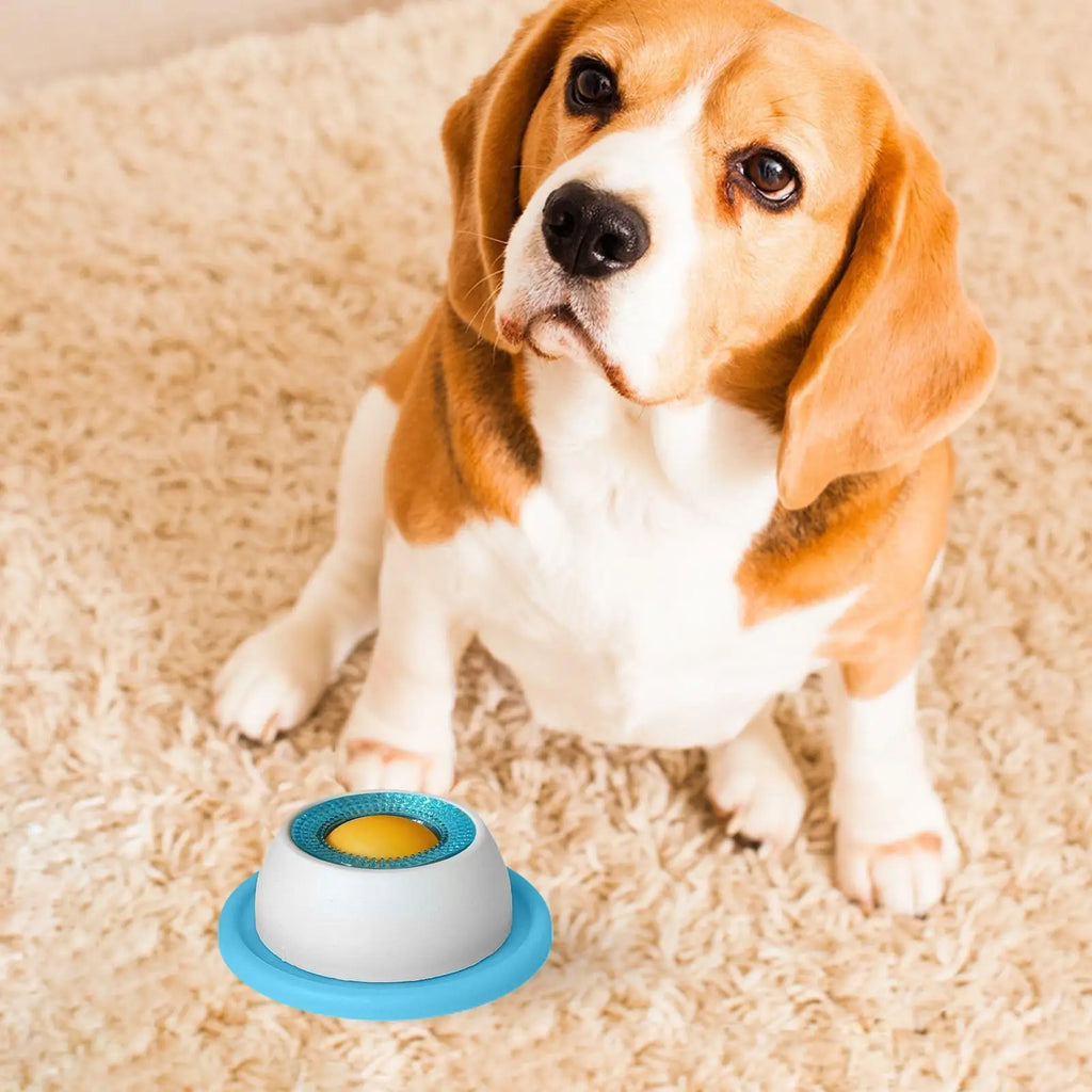 Slow-Feed Puzzle Bowl for Dogs