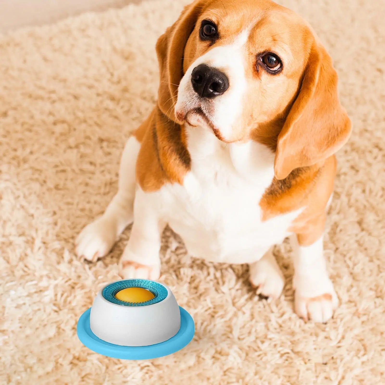 Slow-Feed Puzzle Bowl for Dogs