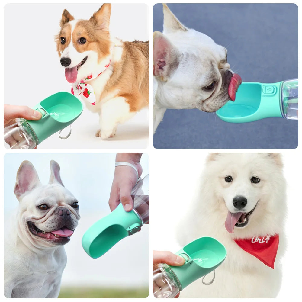 Leak-Proof Portable Dog Water Bottle