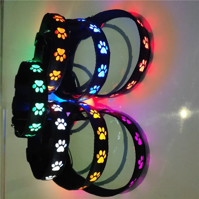 NightPaws™ Glow LED Luminous Dog Collar