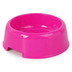 Everyday Plastic Feeding Bowl for Pets