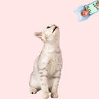 Quadrate Treat Squeeze Feeder for Cats