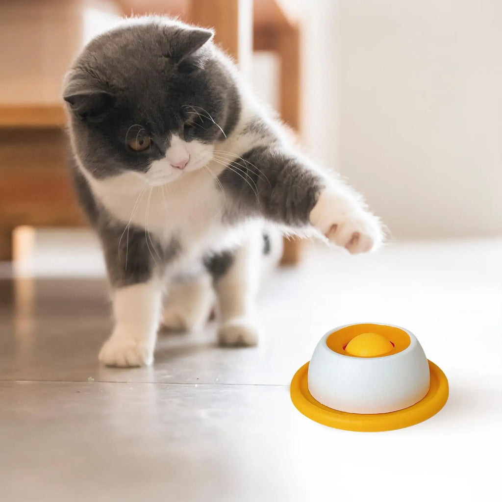 Slow-Feed Puzzle Bowl for Dogs