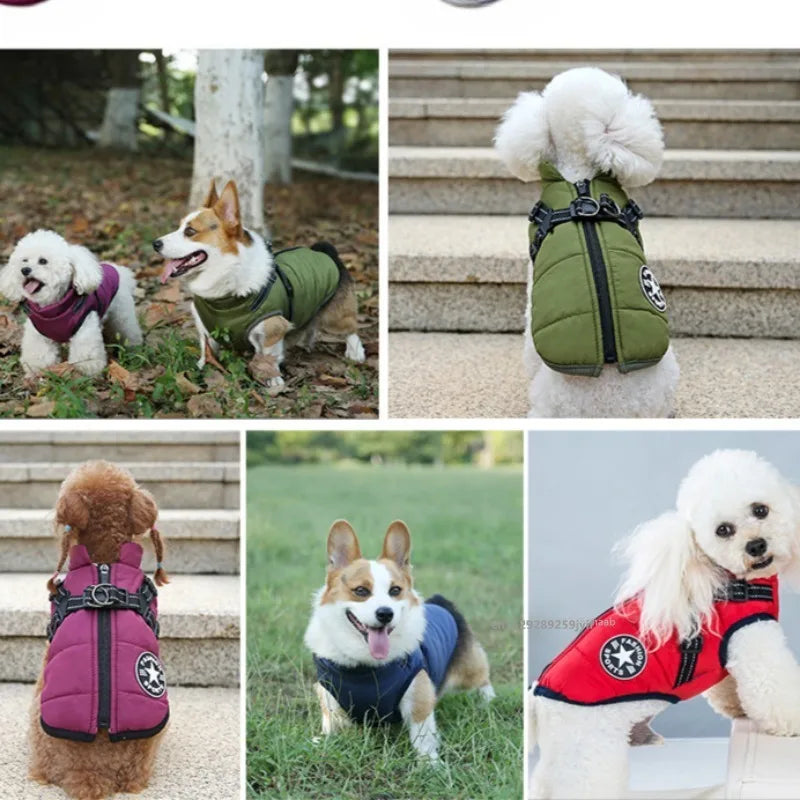 Waterproof Winter Dog Jacket with Harness