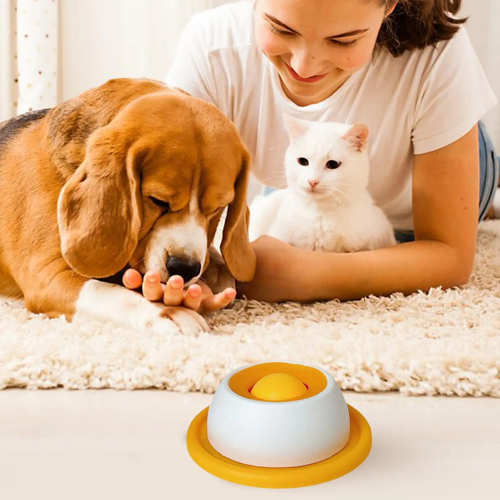 Slow-Feed Puzzle Bowl for Dogs