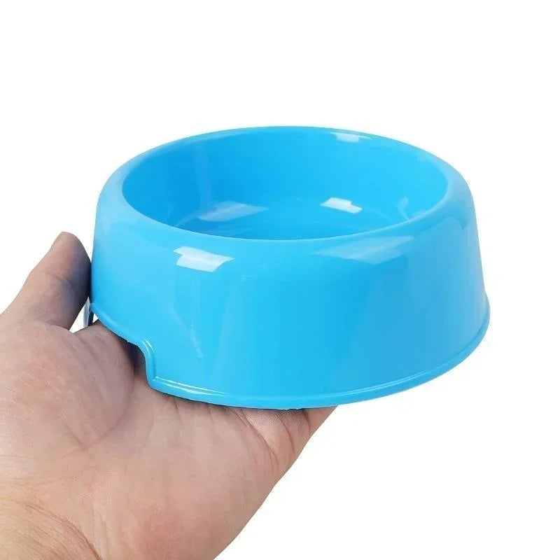 Everyday Plastic Feeding Bowl for Pets