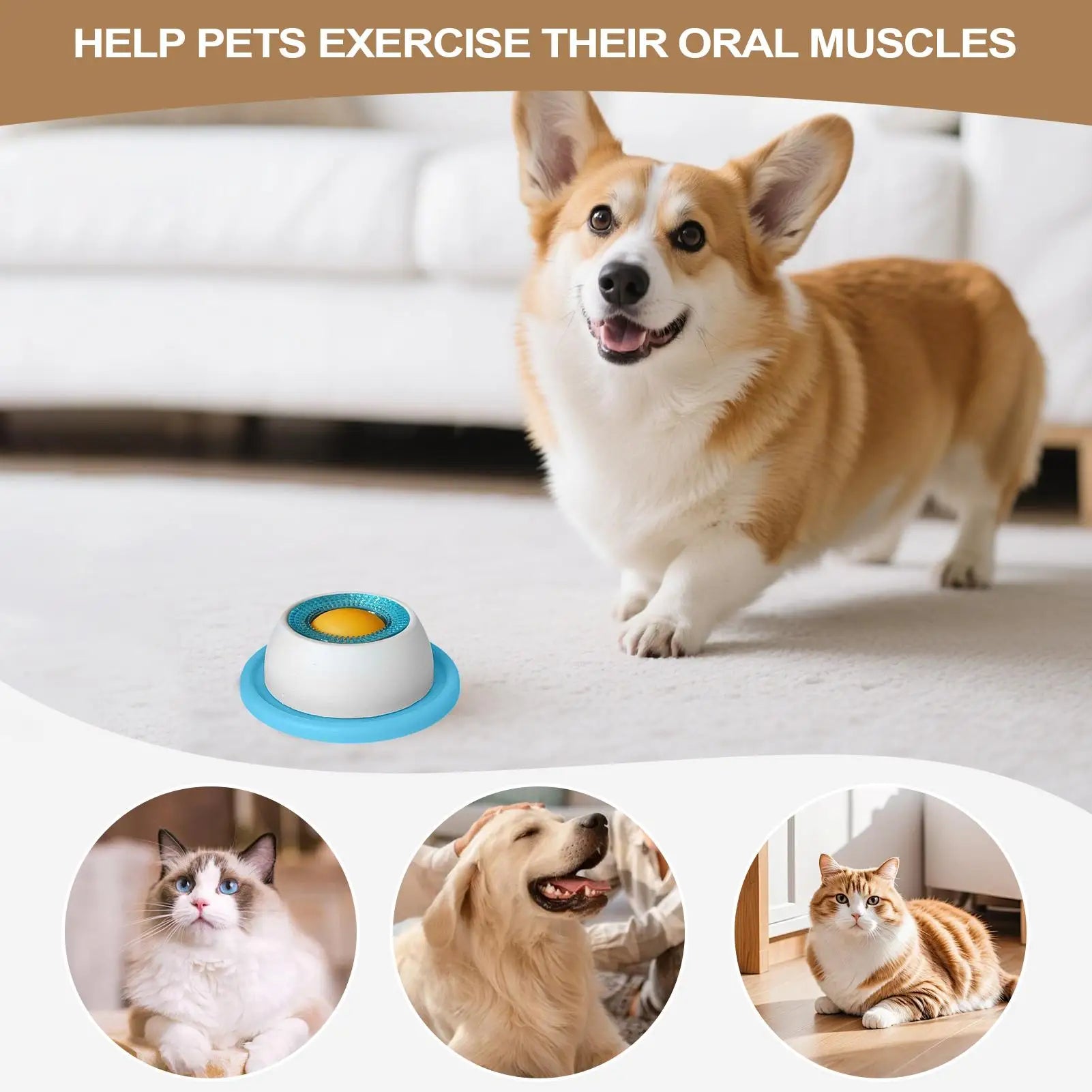 Slow-Feed Puzzle Bowl for Dogs