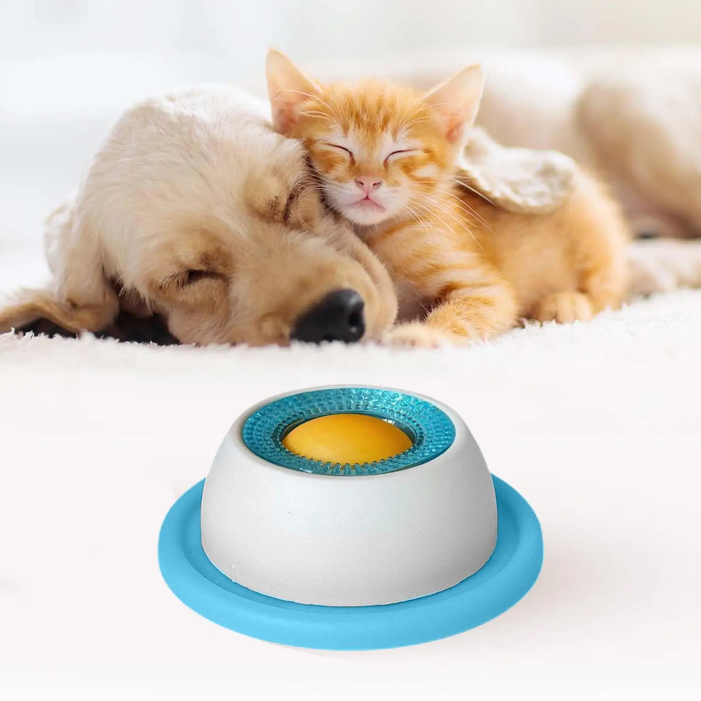Slow-Feed Puzzle Bowl for Dogs