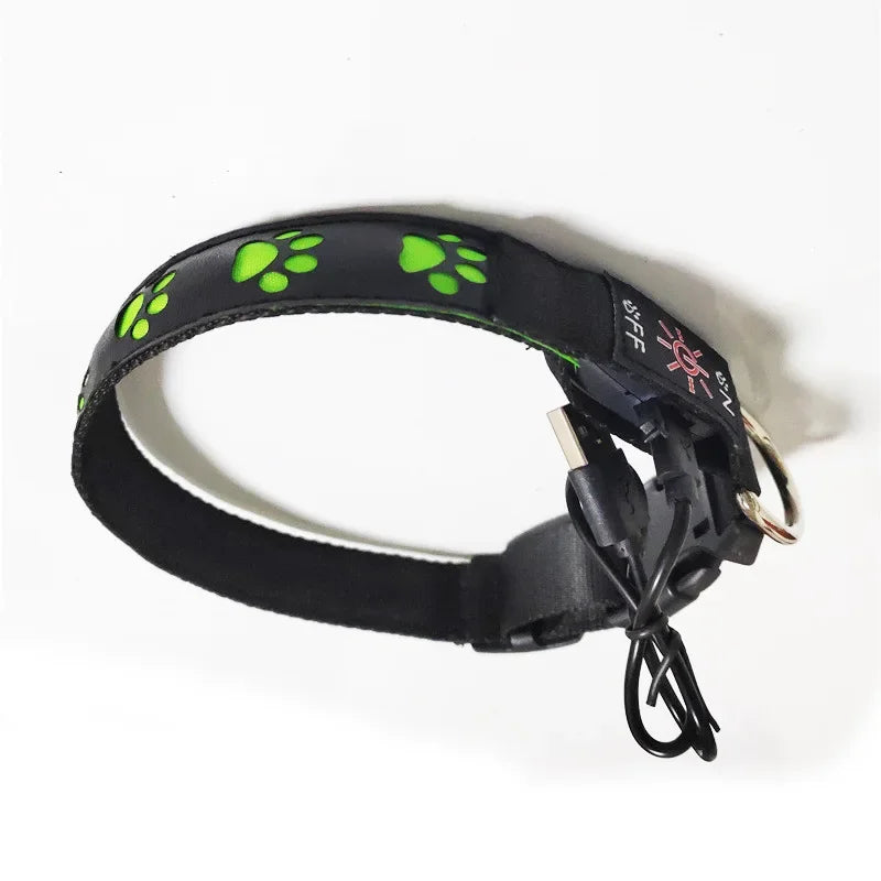 NightPaws™ Glow LED Luminous Dog Collar