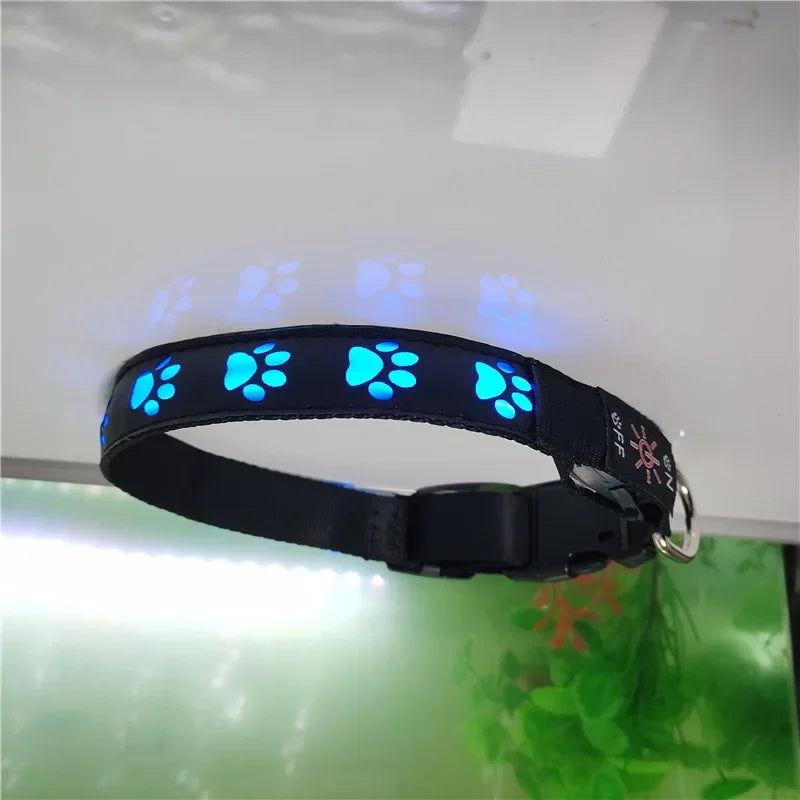 NightPaws™ Glow LED Luminous Dog Collar