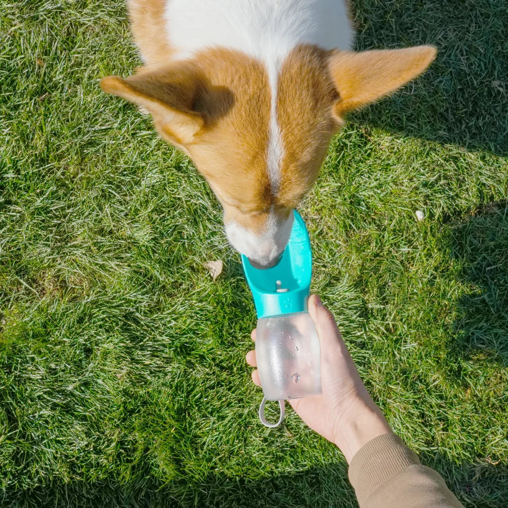 Portable 300ML Pet Water Bottle