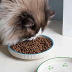 Ceramic Feeding Bowl for Cats & Dogs
