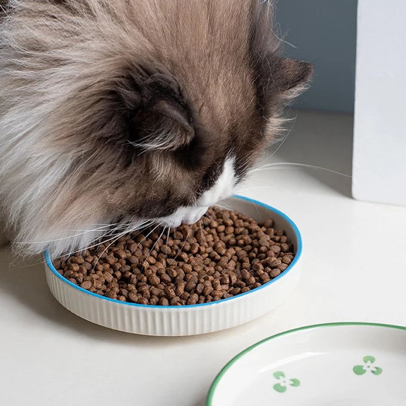 Ceramic Feeding Bowl for Cats & Dogs